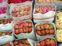 关于破财消灾的说说