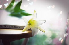 创业难的心情说说