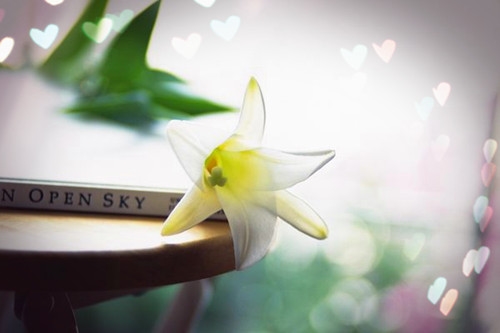 创业难的心情说说