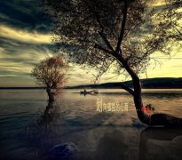 抖音点赞最多心情说说