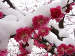 形容责任重大的句子