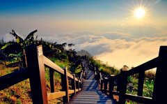 晚安点赞最多的朋友圈