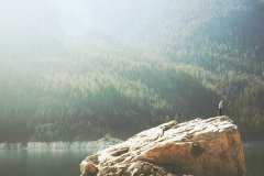 侮辱男人的自尊心的话