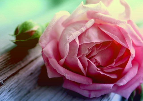 教师节给老师的话简短接地气