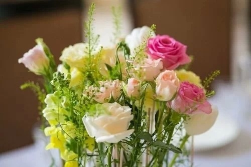 赞美别人的句子