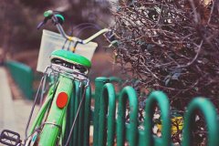 关于奋斗的句子