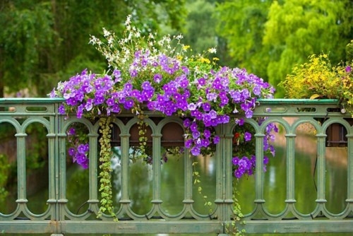 遇见初恋的心情说说