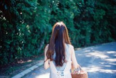 优美语句摘抄经典语录