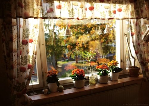 一家三口温馨的句子简短