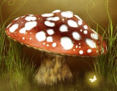 提高环保地球意识的标语