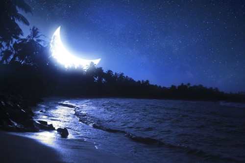 一个要走的人留不住的经典语录 一个要走的人留不住的经典语录