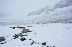 我住的城市下雪了说说