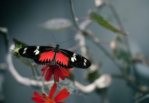 出来看风景的心情说说 观赏风景的说说