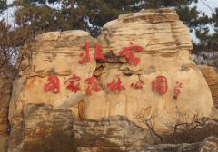 阳光明媚爬山的说说