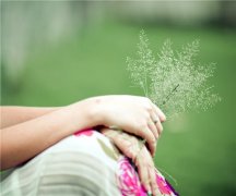 关于清明节祭奠的句子
