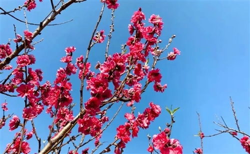 描写外出踏青游玩的句子 描写外出踏青游玩的句子