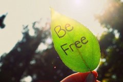 温柔干净且无关爱情的句子