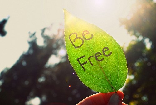 温柔干净且无关爱情的句子