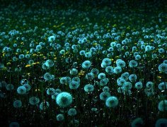 世界上最好的陪伴语录(精选38句)