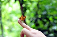 人的忍耐是有限的说说(精选54句)