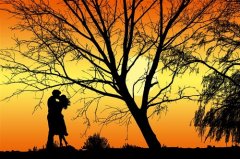 开始新生活的简短句子(精选57句)