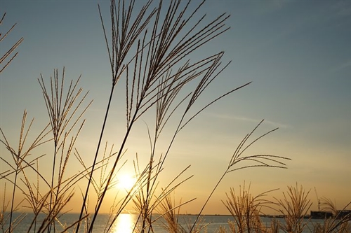 幸福的一家人精辟句子(精选51句) 幸福的一家人精辟句子(精选51句)