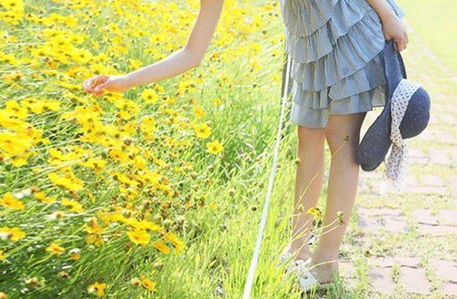 交通安全小短语(70句)