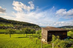 表达离乡心情的句子(精选58句)