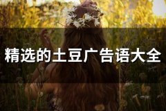 精选的土豆广告语大全 土豆小吃的广告宣传语