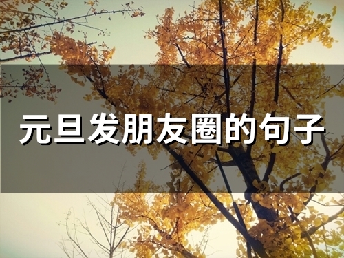 元旦发朋友圈的句子 2023年元旦最新文案