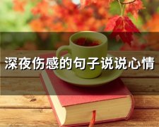 深夜伤感的句子说说心情 深夜致自己的短句