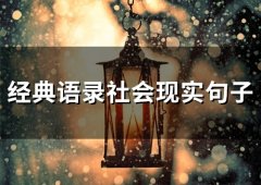 经典语录社会现实句子(精选66句)