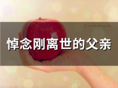 悼念刚离世的父亲(精选17句)