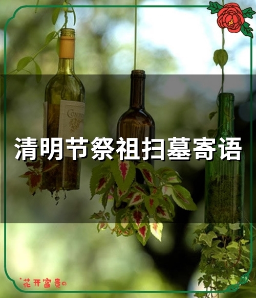 清明节祭祖扫墓寄语(精选37句)