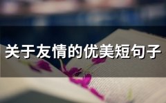 关于友情的优美短句子(68句)