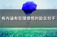 有内涵有哲理感悟的励志句子(65句)