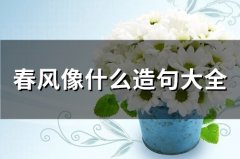春风像什么造句大全(34句)