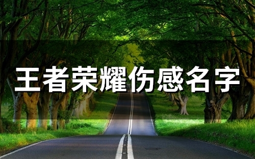 王者荣耀伤感名字(50个) 王者荣耀伤感名字(50个)