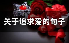 关于追求爱的句子(精选70句)