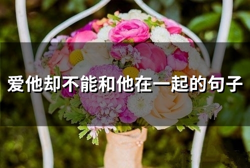 爱他却不能和他在一起的句子(72句)