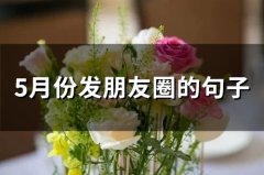 5月份发朋友圈的句子(34句)