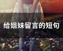 给姐妹留言的短句(66句)