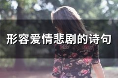 形容爱情悲剧的诗句(精选67句)