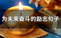 为未来奋斗的励志句子(85句)