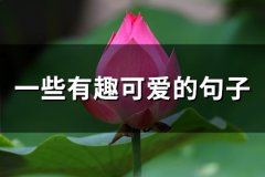 一些有趣可爱的句子(76句)