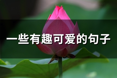 一些有趣可爱的句子(76句)