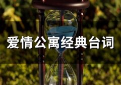 爱情公寓经典台词(精选63句)