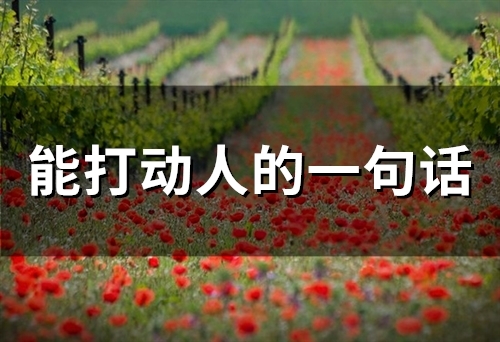 能打动人的一句话(精选52句)