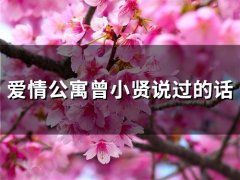 爱情公寓曾小贤说过的话(65句)