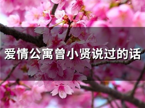 爱情公寓曾小贤说过的话(65句)